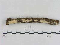 登錄號:F0005320藏品圖，第1張