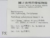 登錄號:F0005322藏品圖，第2張