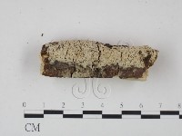 登錄號:F0005323藏品圖，第3張