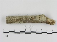 登錄號:F0005325藏品圖，第1張