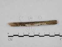 登錄號:F0005326藏品圖，第1張