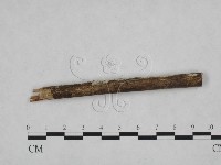 登錄號:F0005326藏品圖，第3張