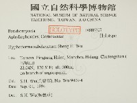 登錄號:F0005327藏品圖，第2張