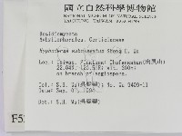 登錄號:F0005328藏品圖，第2張