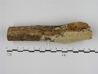 登錄號:F0005329藏品圖，第1張