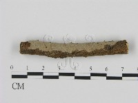 登錄號:F0005330藏品圖，第1張