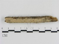 登錄號:F0005331藏品圖，第1張