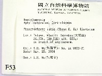 登錄號:F0005332藏品圖，第2張