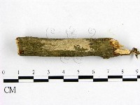 登錄號:F0005332藏品圖，第1張