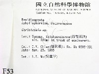 登錄號:F0005333藏品圖，第2張