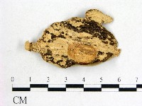 登錄號:F0005333藏品圖，第3張