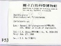 登錄號:F0005334藏品圖，第2張