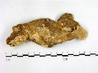 登錄號:F0005334藏品圖，第3張