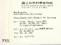 登錄號:F0005335藏品圖，第2張