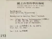 登錄號:F0005338藏品圖，第2張