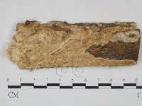 登錄號:F0005338藏品圖，第1張