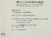 登錄號:F0005339藏品圖，第2張