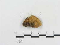 登錄號:F0005341藏品圖，第3張