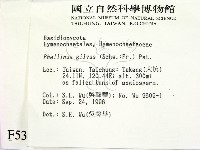 登錄號:F0005342藏品圖，第2張