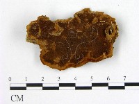 登錄號:F0005342藏品圖，第1張