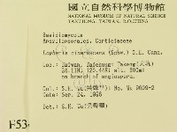 登錄號:F0005343藏品圖，第2張