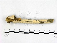 登錄號:F0005344藏品圖，第3張
