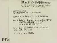 登錄號:F0005345藏品圖，第2張