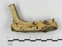 登錄號:F0005345藏品圖，第1張