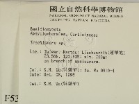 登錄號:F0005346藏品圖，第2張