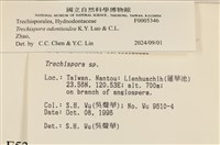 登錄號:F0005346藏品圖，第3張