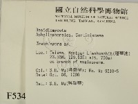 登錄號:F0005347藏品圖，第2張