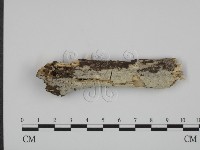 登錄號:F0005347藏品圖，第1張