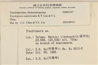 登錄號:F0005347藏品圖，第3張