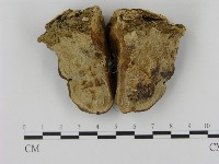 登錄號:F0005348藏品圖，第1張