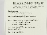 登錄號:F0005349藏品圖，第2張