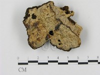 登錄號:F0005349藏品圖，第3張