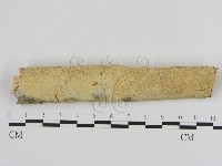 登錄號:F0005350藏品圖，第1張