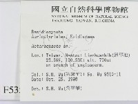 刺皮菌屬藏品圖，第2張