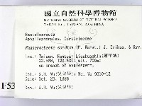 登錄號:F0005352藏品圖，第2張