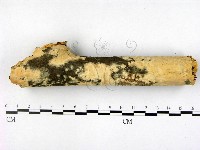 登錄號:F0005354藏品圖，第1張