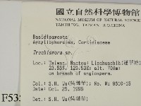 登錄號:F0005355藏品圖，第2張