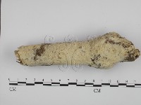 登錄號:F0005355藏品圖，第1張