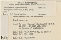 登錄號:F0005355藏品圖，第3張