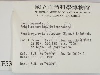 登錄號:F0005356藏品圖，第2張