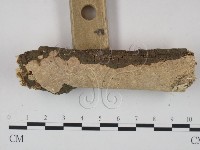 登錄號:F0005356藏品圖，第3張