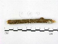 登錄號:F0005357藏品圖，第1張