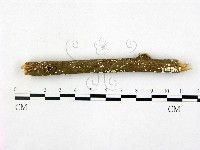 登錄號:F0005357藏品圖，第3張