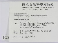 刺革菌屬藏品圖，第2張