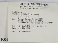 登錄號:F0005363藏品圖，第2張