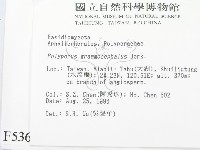 登錄號:F0005366藏品圖，第2張